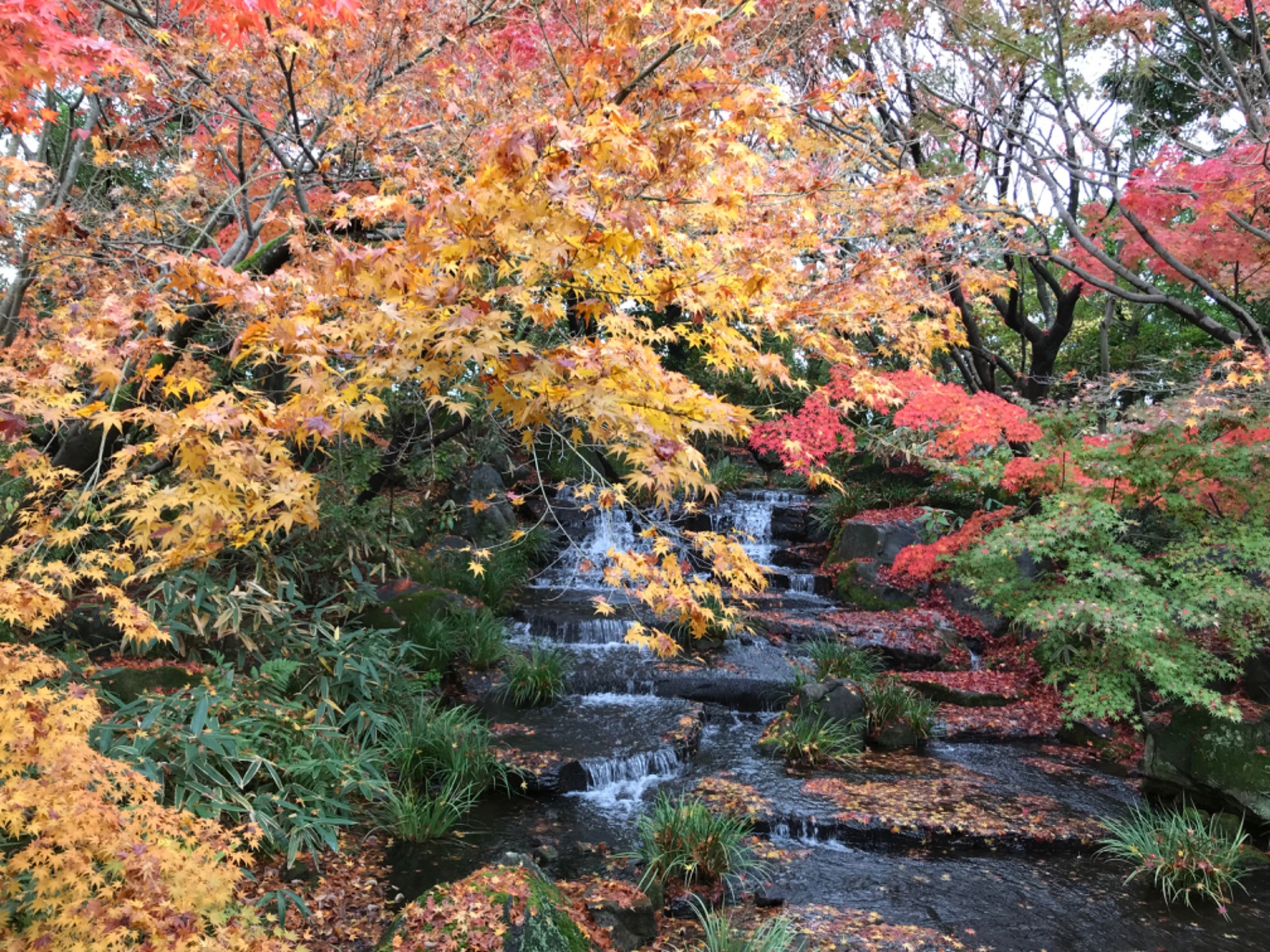 🌾 「最近ずっとだるい…」それ、“秋バテ脳”のサインかも？自律神経を整える5つの習慣